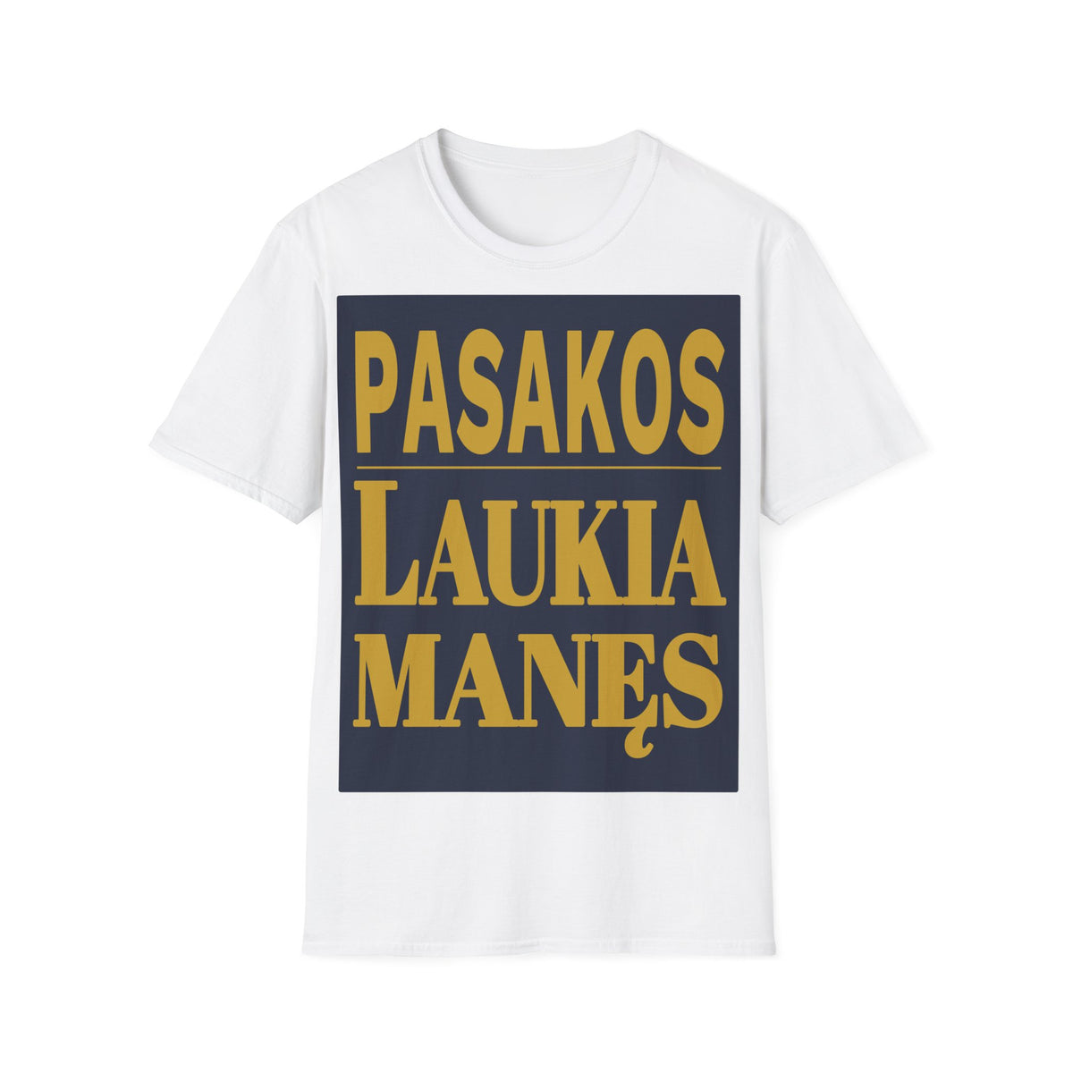 Pasakos laukia manęs.