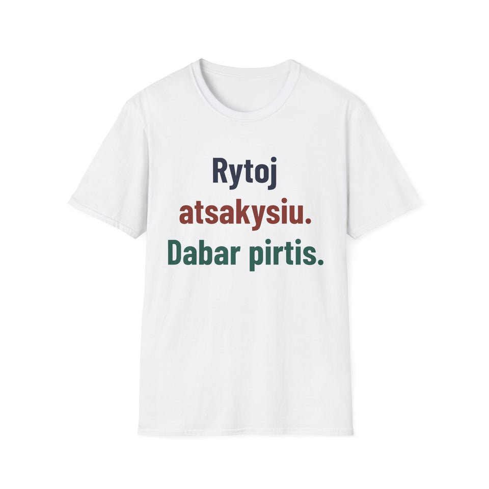Rytoj atsakysiu. Dabar pirtis.