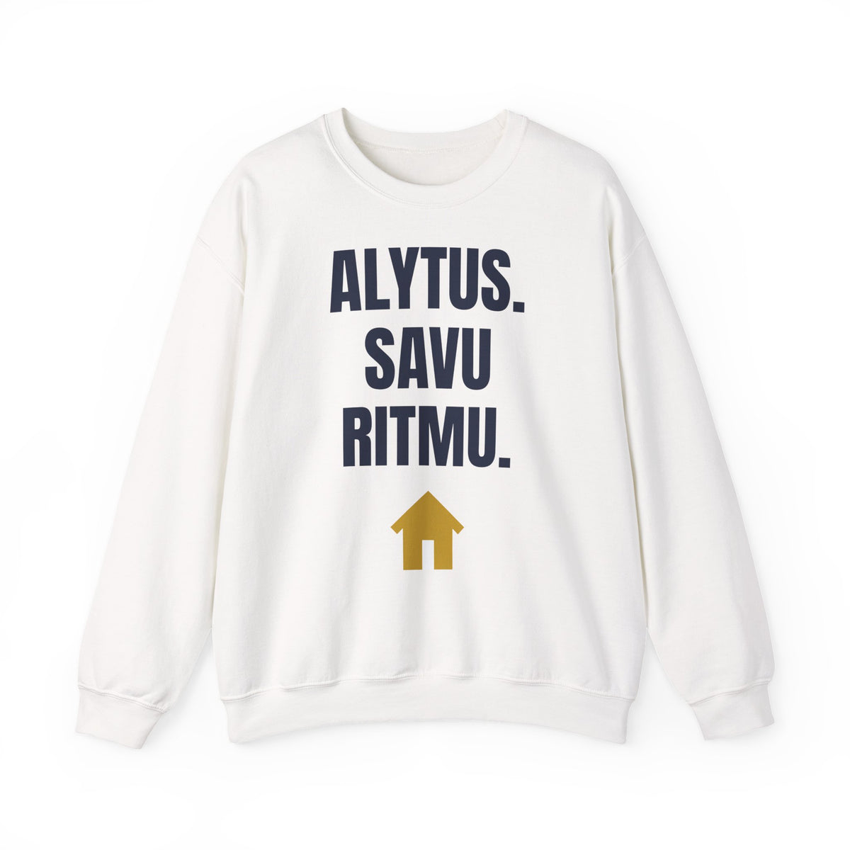 Alytus. Savu ritmu. — Džemperis, spauda priekyje