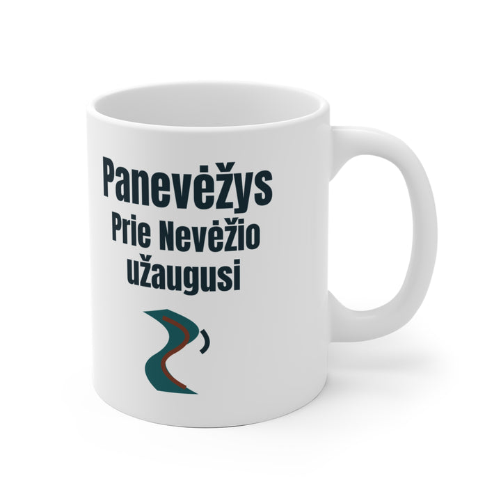 Panevėžys. Prie Nevėžio užaugusi