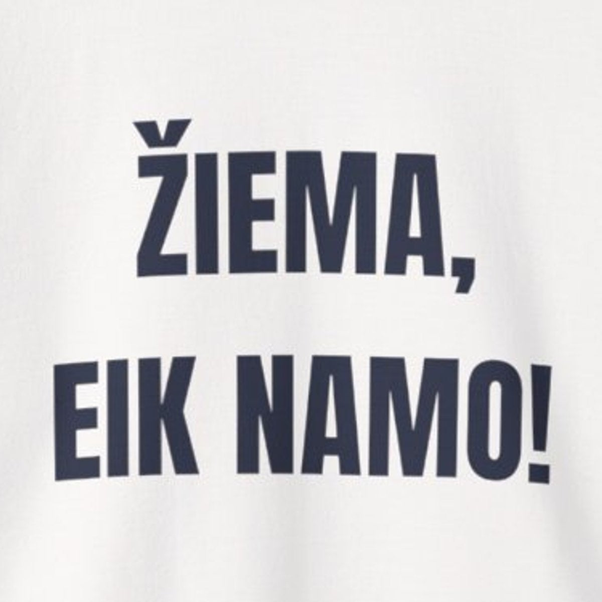 Žiema, eik namo! · Džemperis · priekis