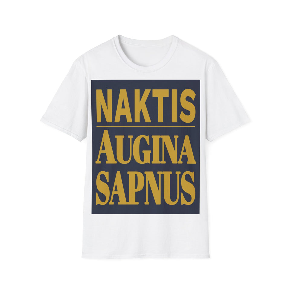 Naktis augina sapnus.