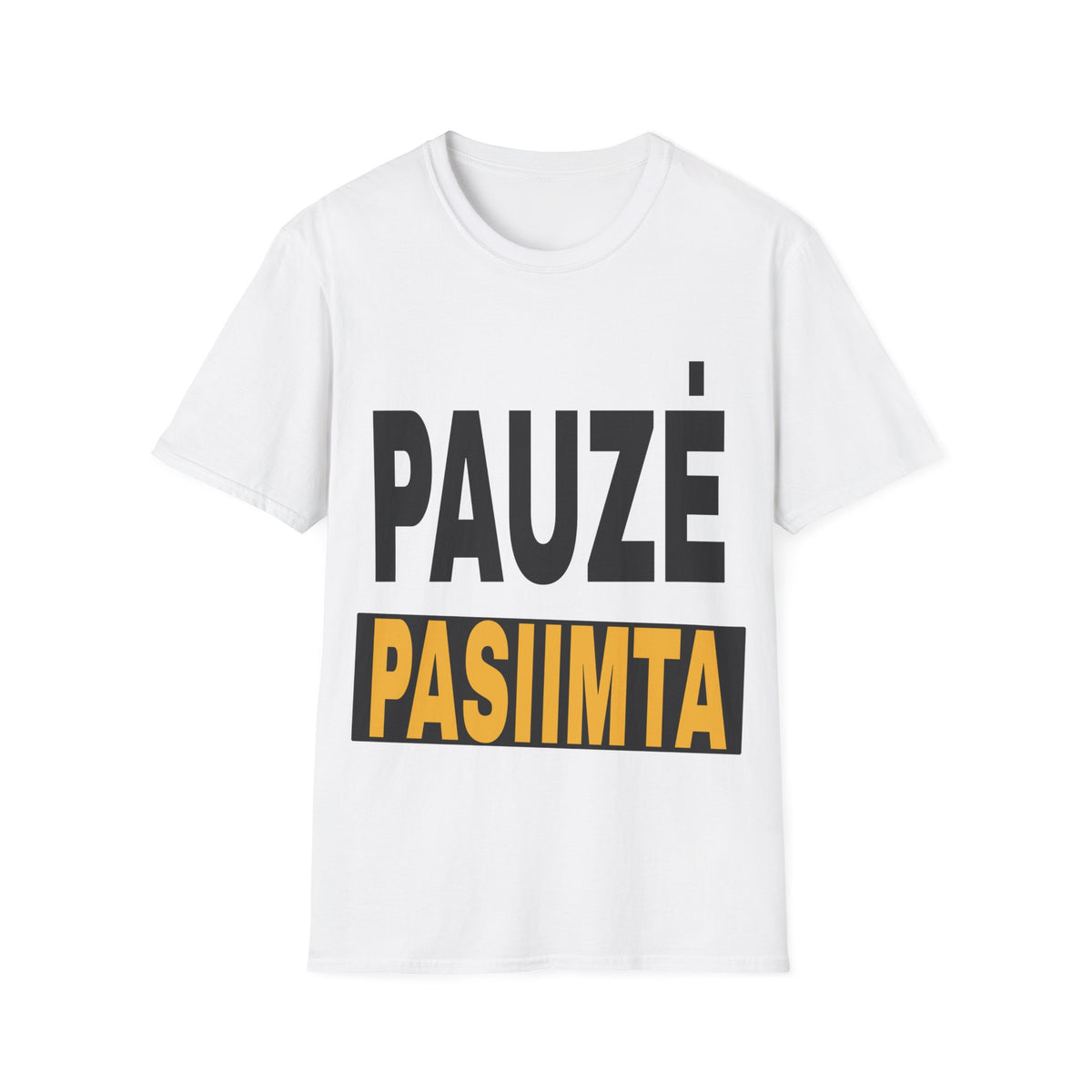 Pauzė pasiimta.