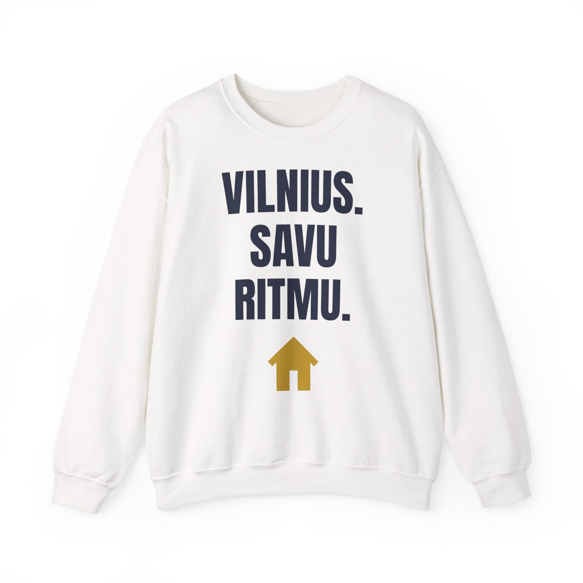 Vilnius. Savu ritmu. — Džemperis, spauda priekyje