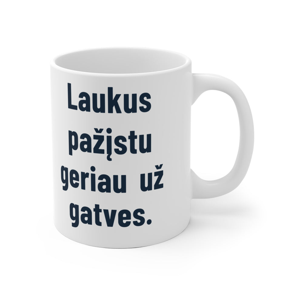 Laukus pažįstu geriau už gatves.