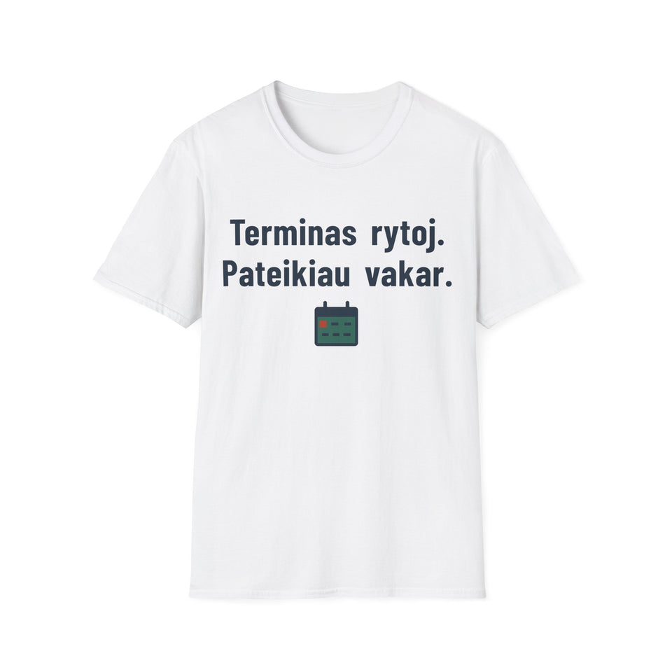Terminas rytoj. Pateikiau vakar.