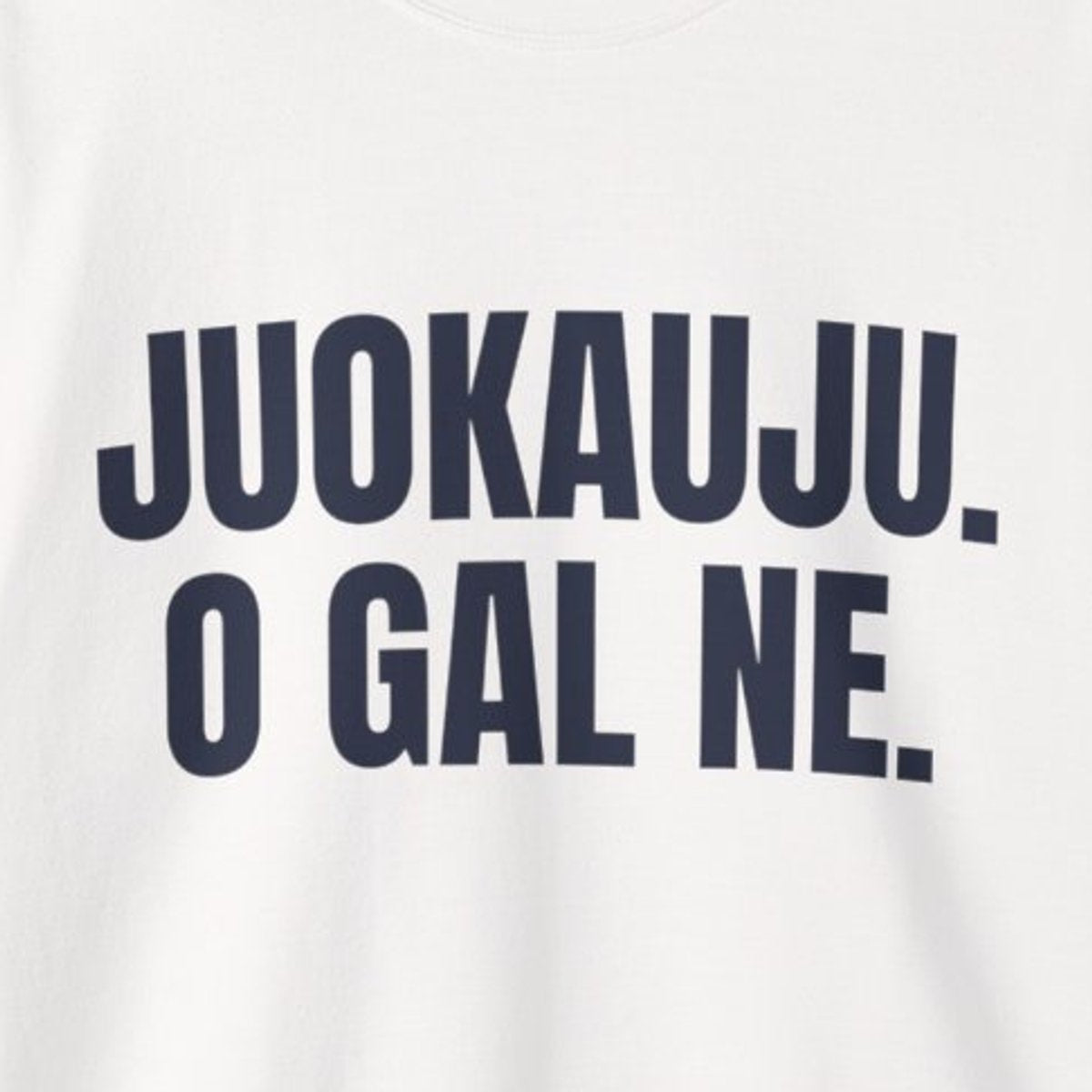 Juokauju. O gal ne. · Džemperis · spauda priekyje