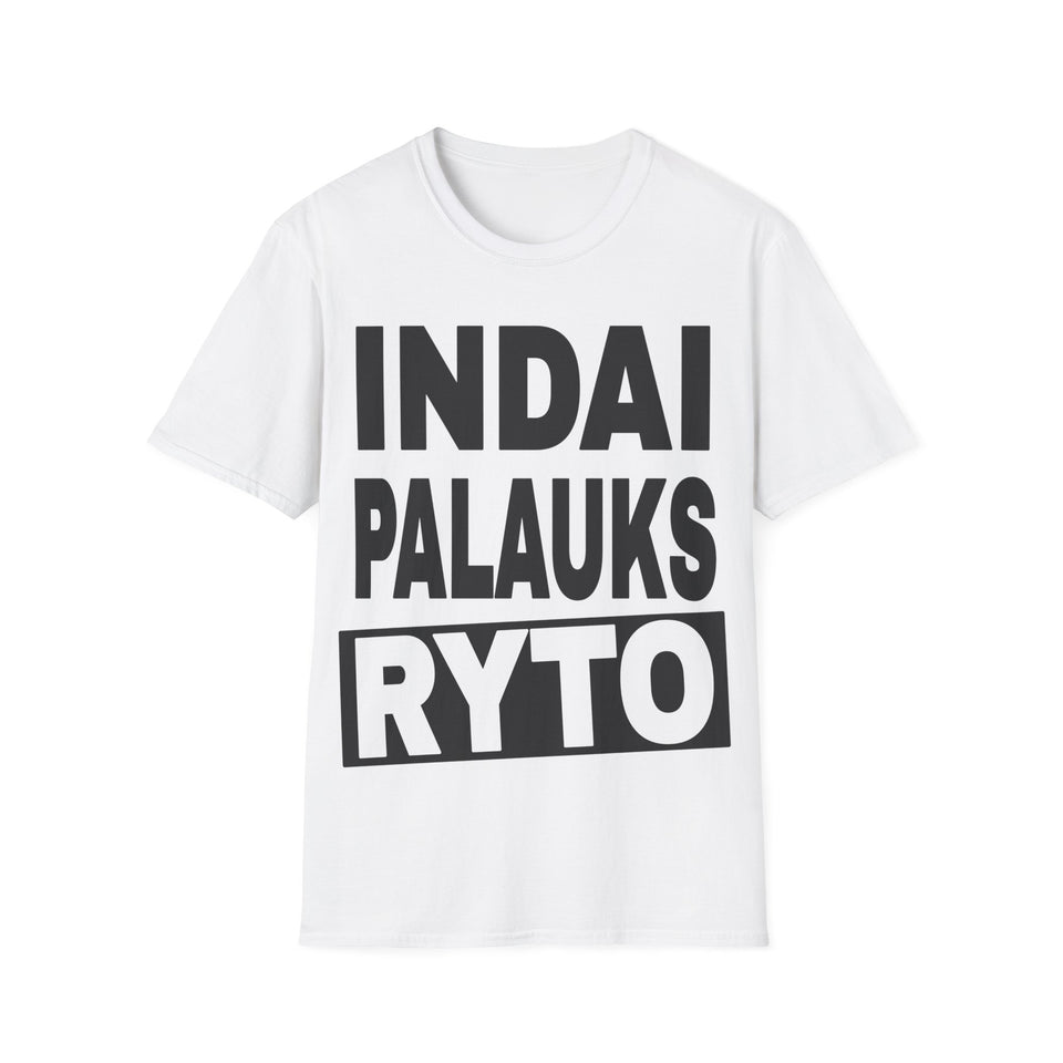 Indai palauks ryto.