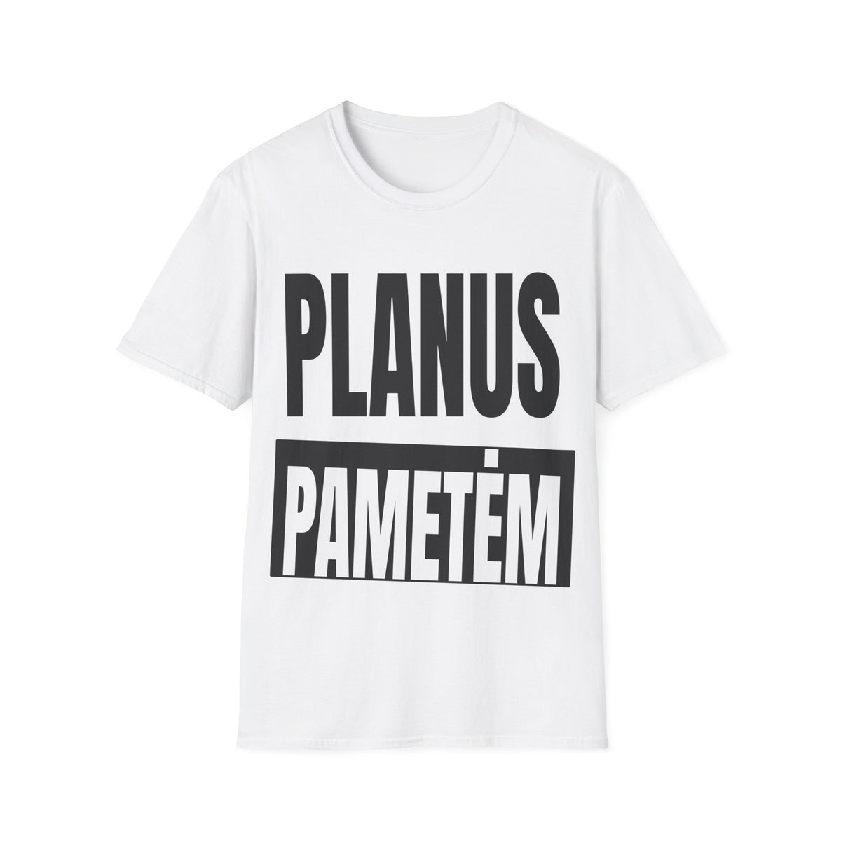 Planus pametėm.