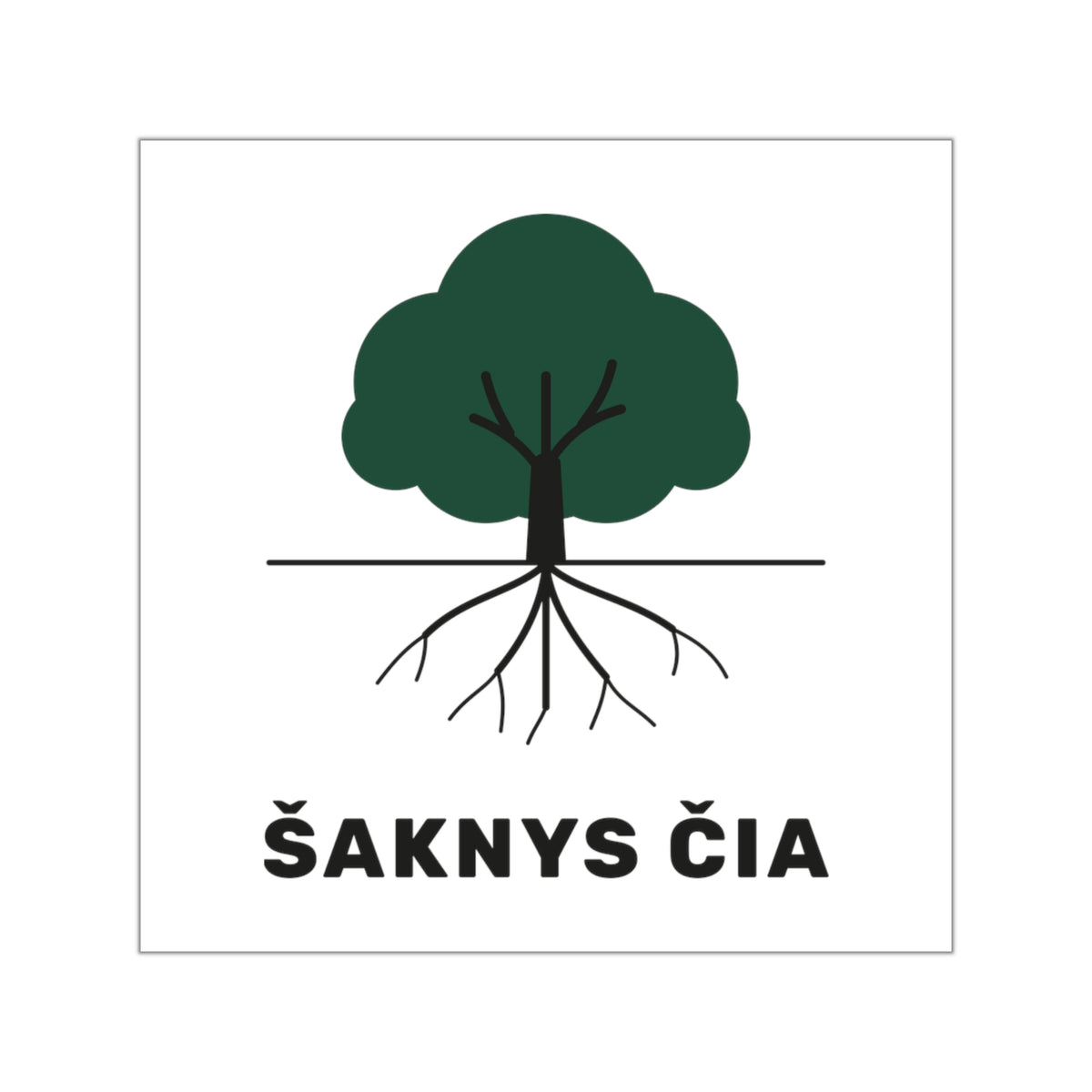 Šaknys čia — Lipdukas, spaudos vaizdas