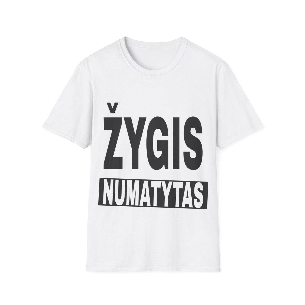 Žygis numatytas.