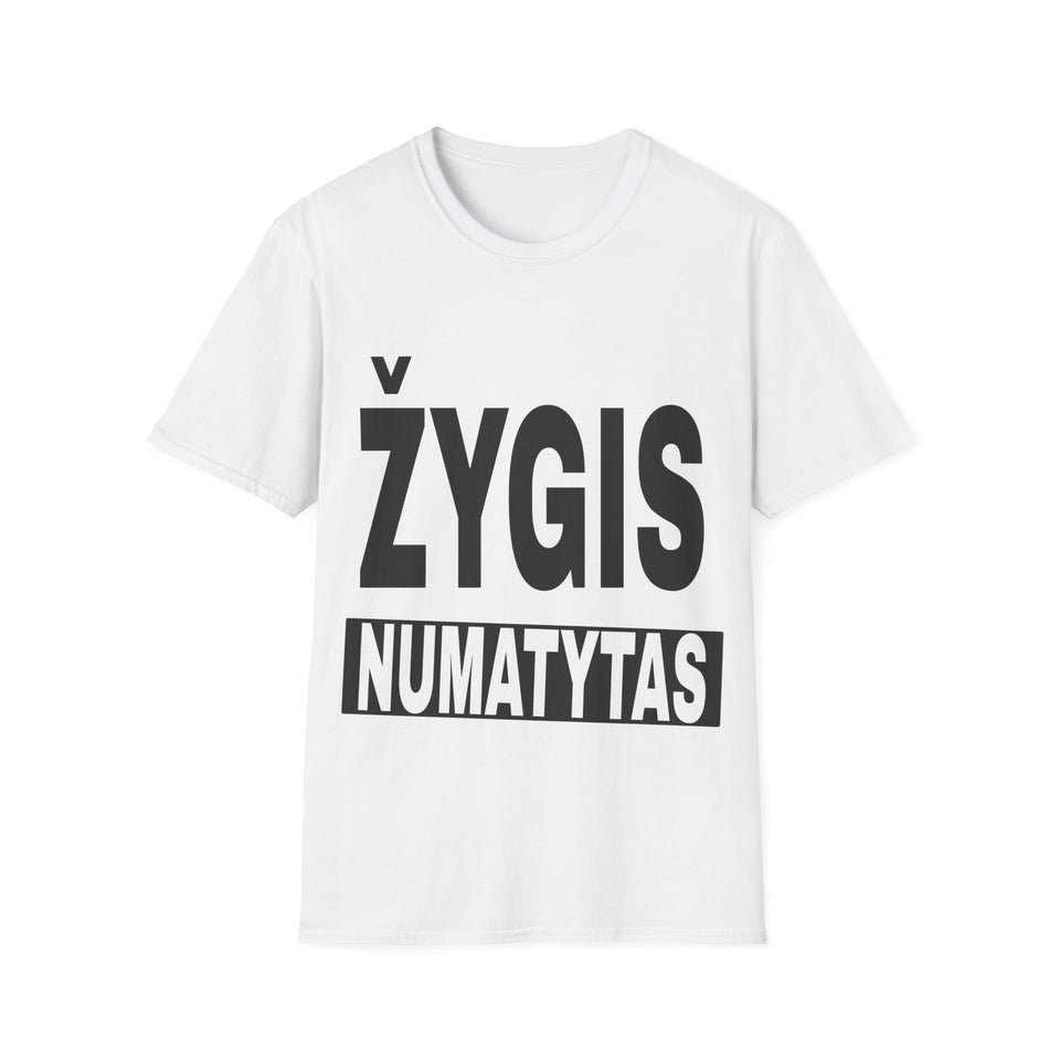 Žygis numatytas.