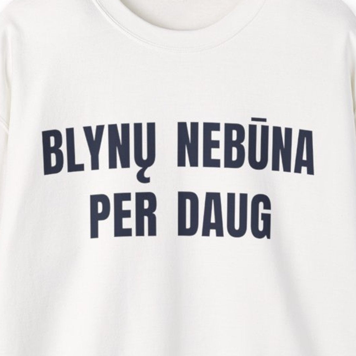 Blynų nebūna per daug · Džemperis · spaudos vaizdas iš arti