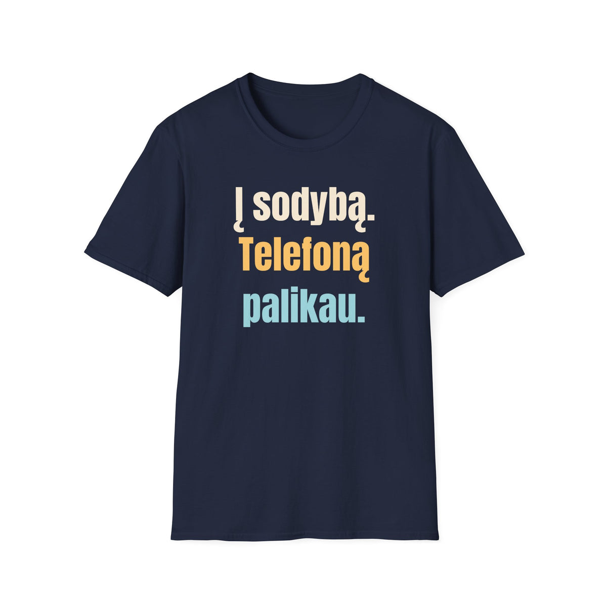 Į sodybą. Telefoną palikau.