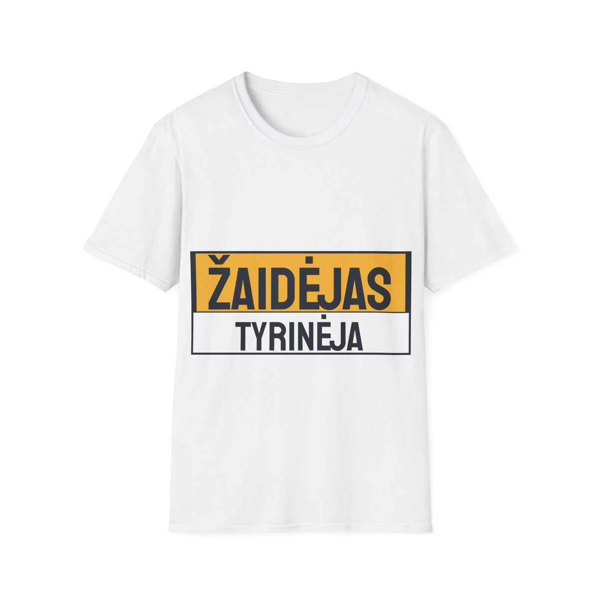 Žaidėjas tyrinėja.