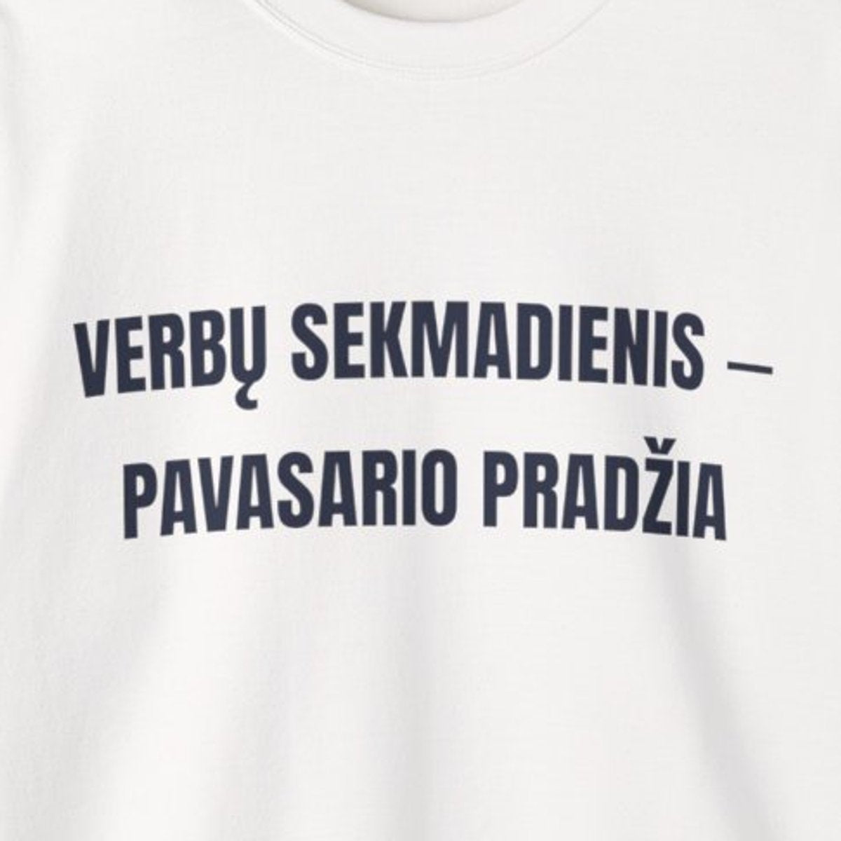 Verbų sekmadienis – pavasario pradžia · Džemperis · priekis