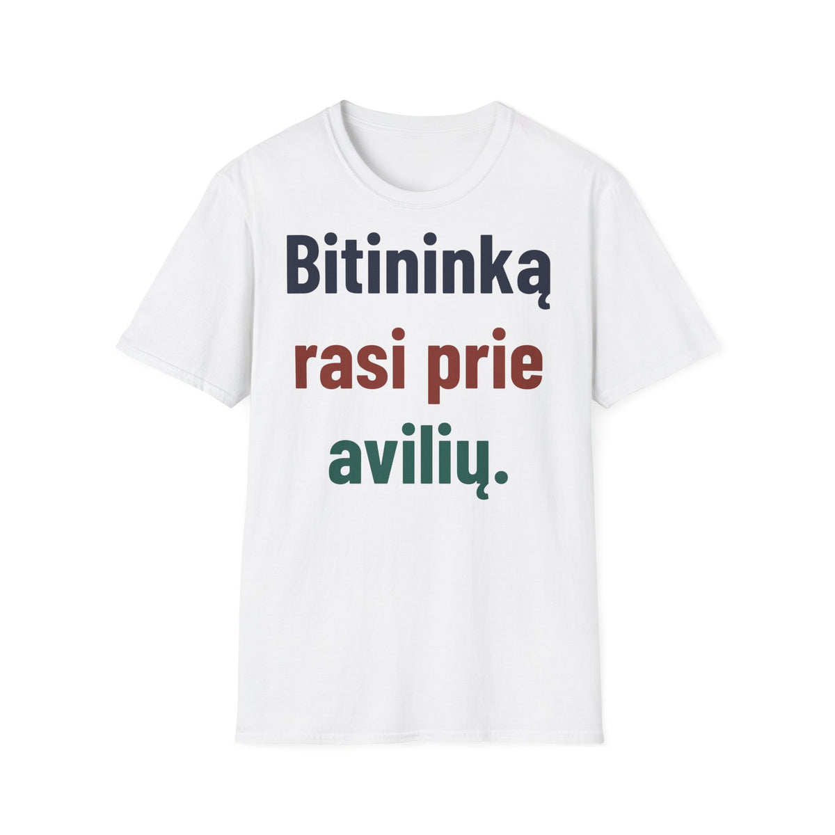 Bitininką rasi prie avilių.