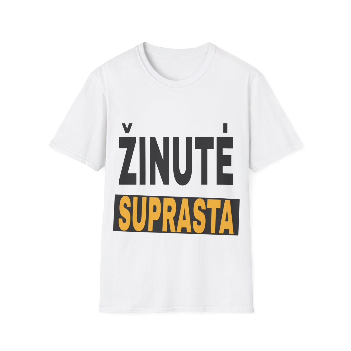 Žinutė suprasta.