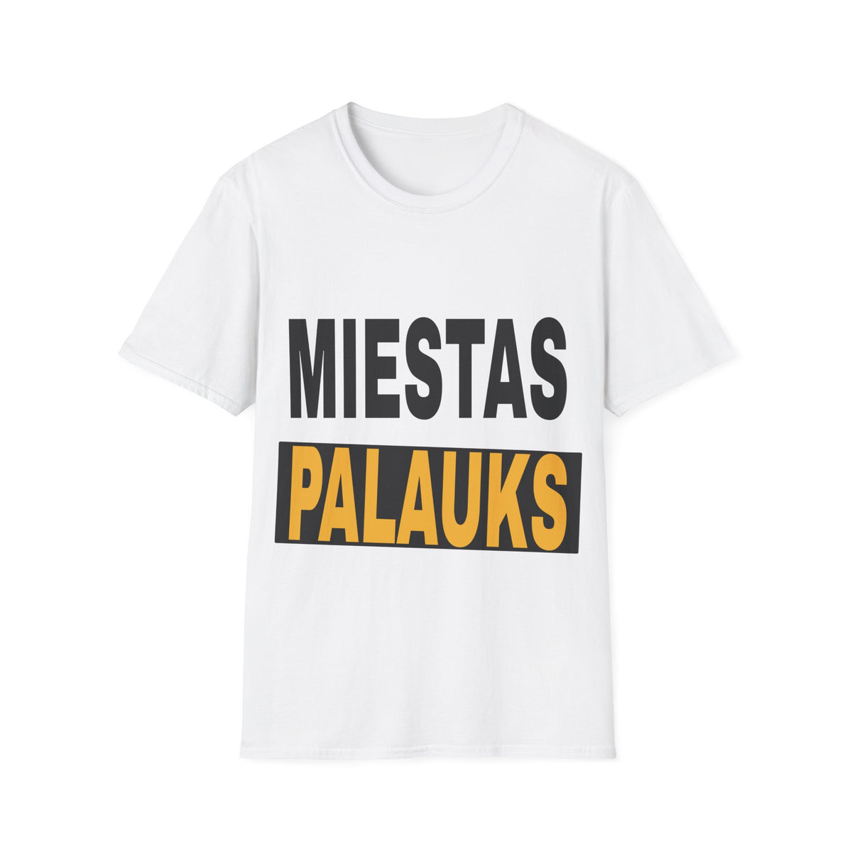 Miestas palauks.