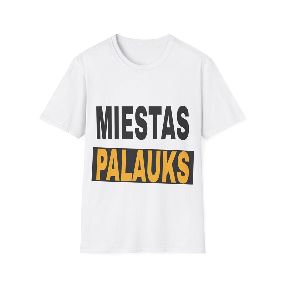 Miestas palauks.