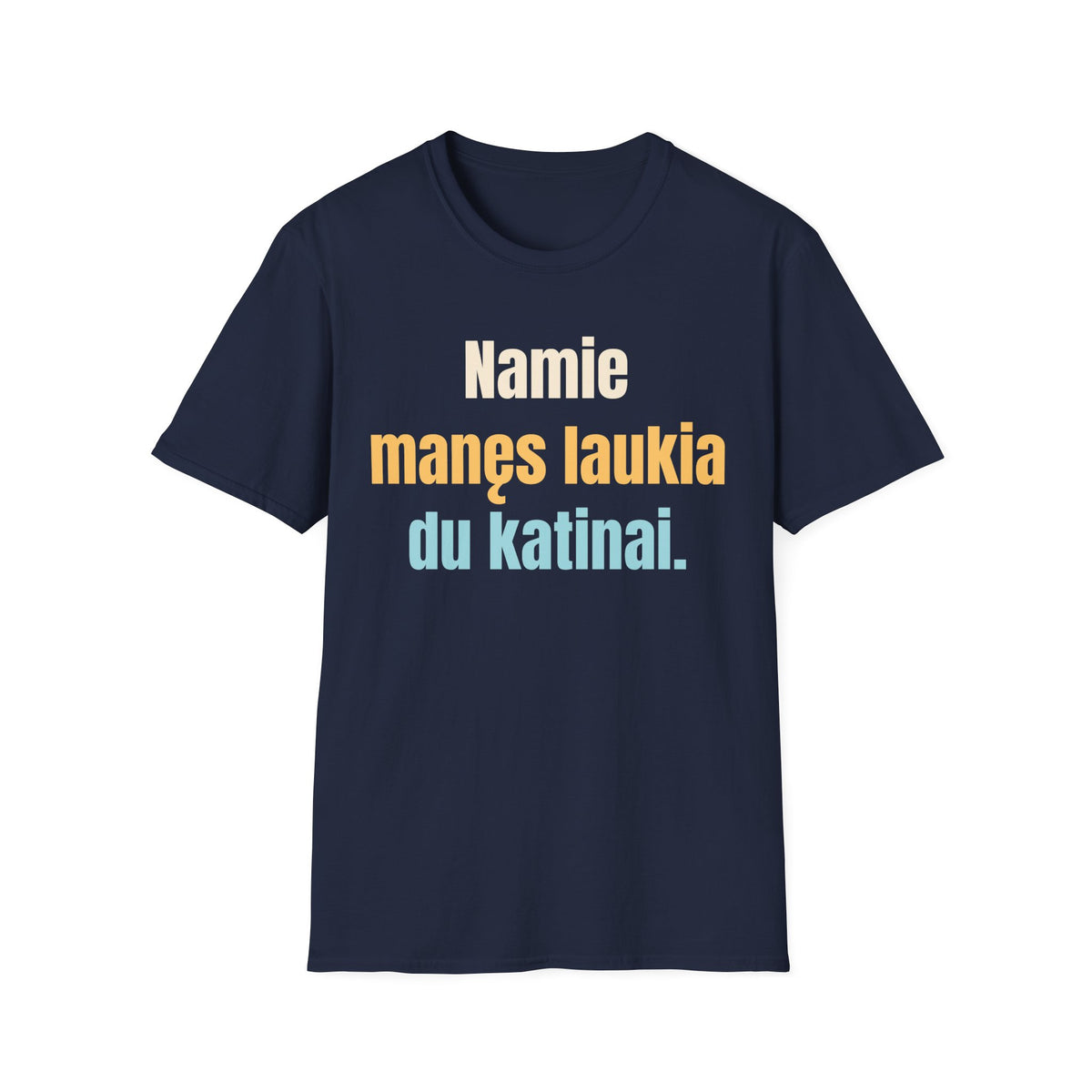 Namie manęs laukia du katinai.