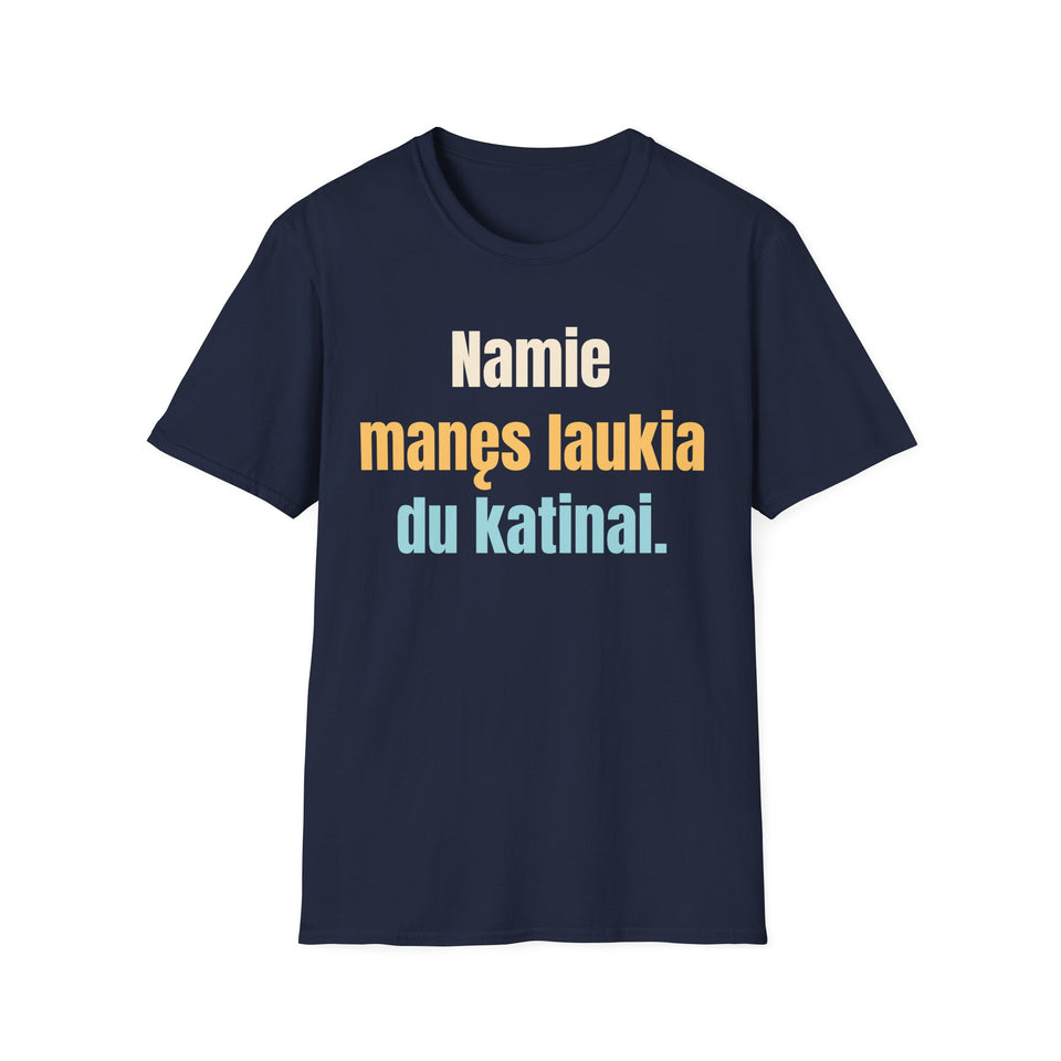 Namie manęs laukia du katinai.