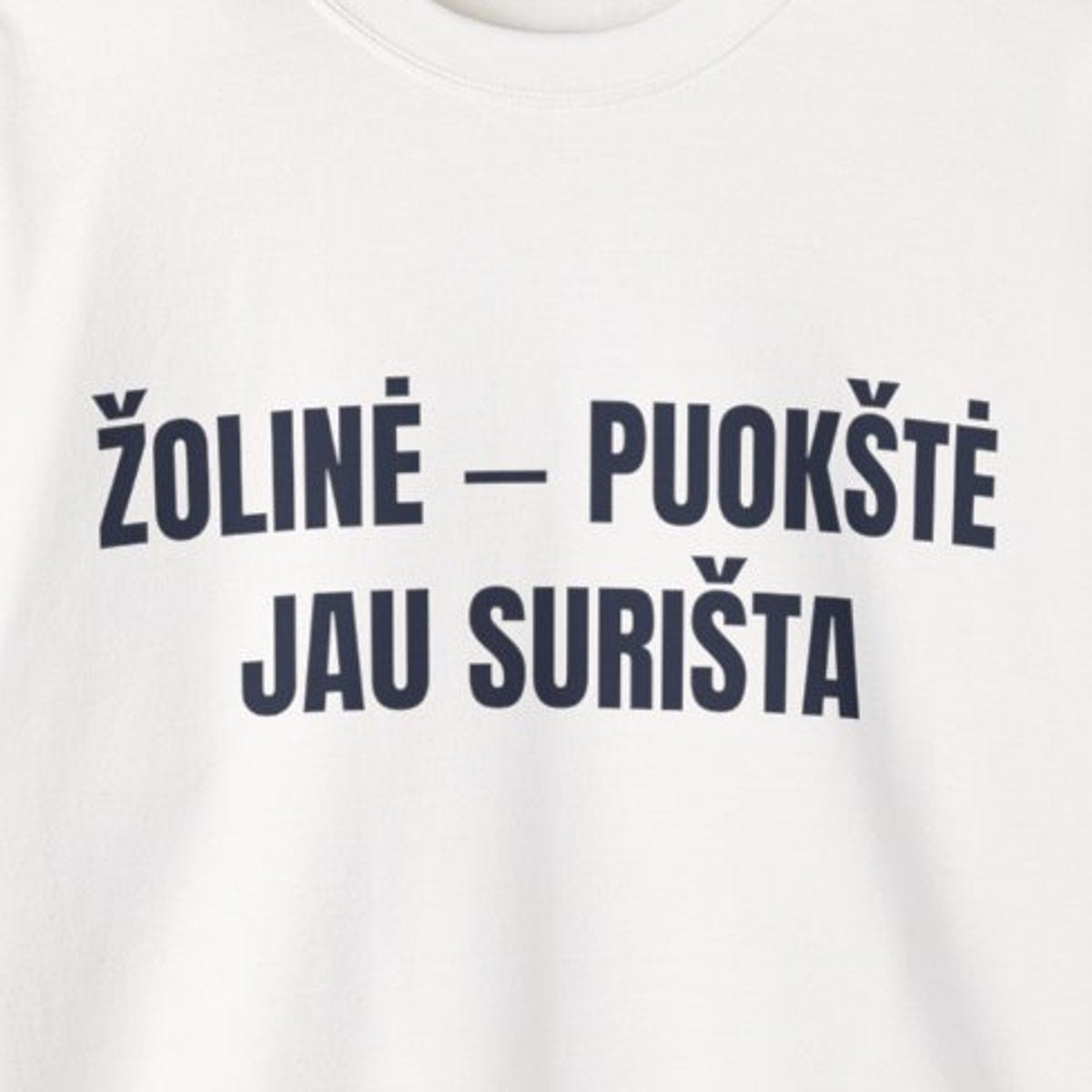 Žolinė – puokštė jau surišta · Džemperis · spauda priekyje
