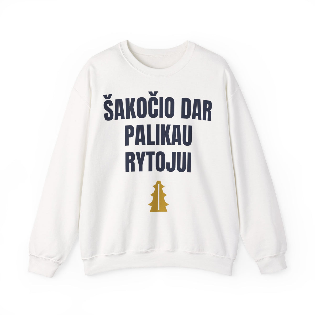 Šakočio dar palikau rytojui — Džemperis, spauda priekyje