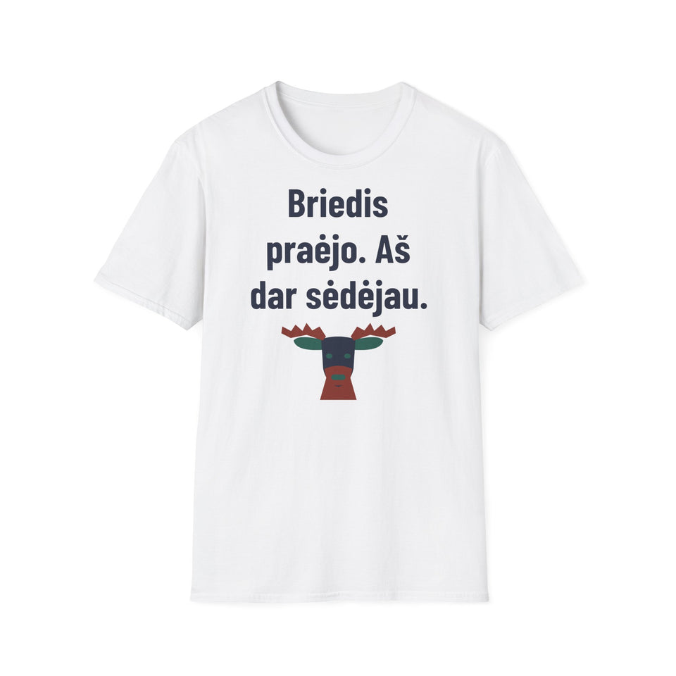 Briedis praėjo. Aš dar sėdėjau.