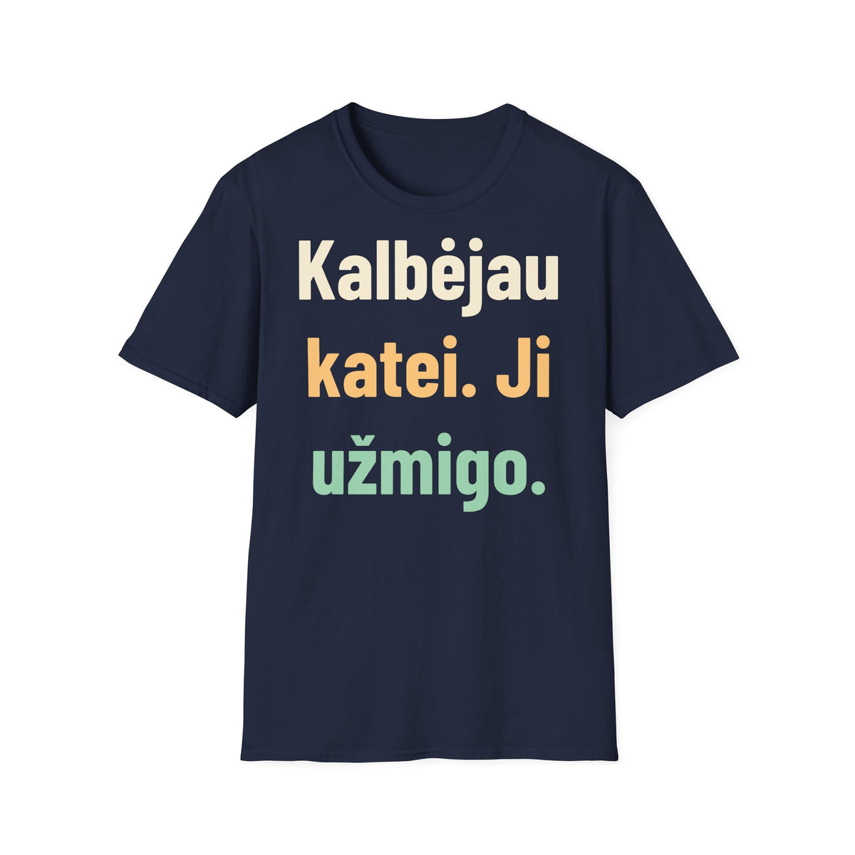 Kalbėjau katei. Ji užmigo.