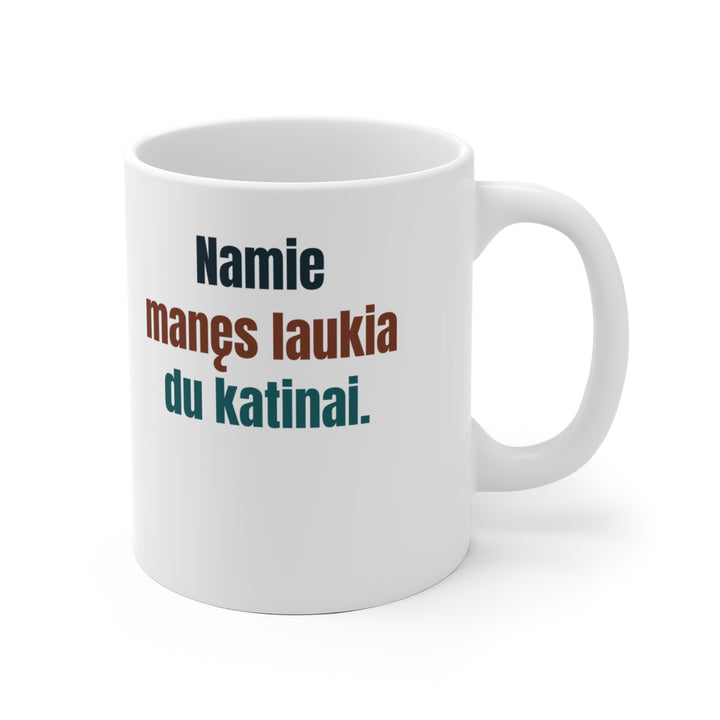 Namie manęs laukia du katinai.