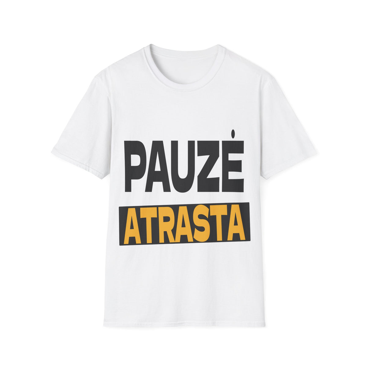 Pauzė atrasta.
