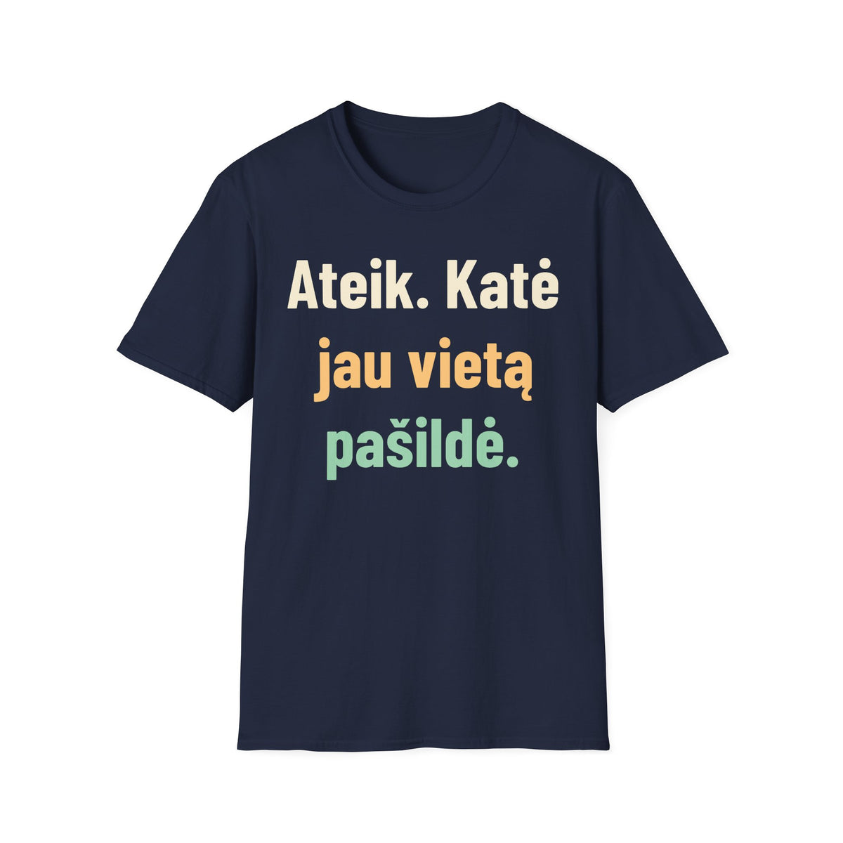 Ateik. Katė jau vietą pašildė.