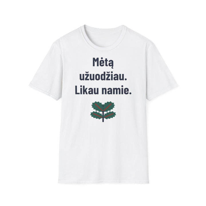 Mėtų arbata. Niekur neinu.