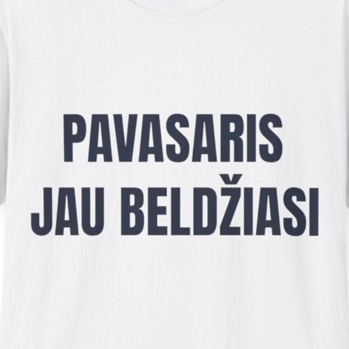 Pavasaris jau beldžiasi · Marškinėliai · priekis