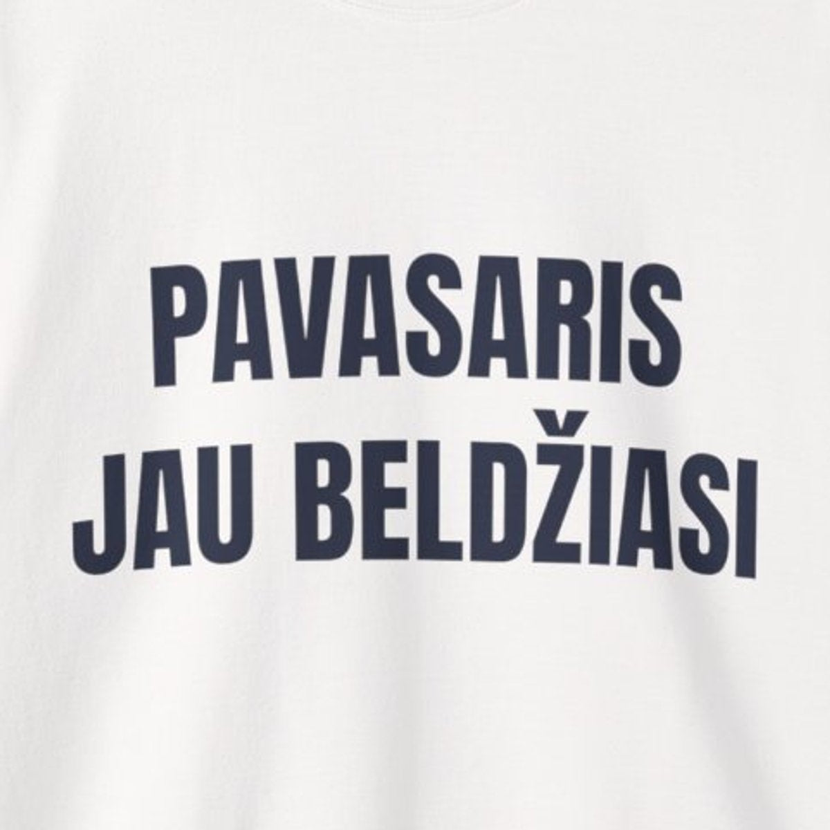 Pavasaris jau beldžiasi · Džemperis · priekis