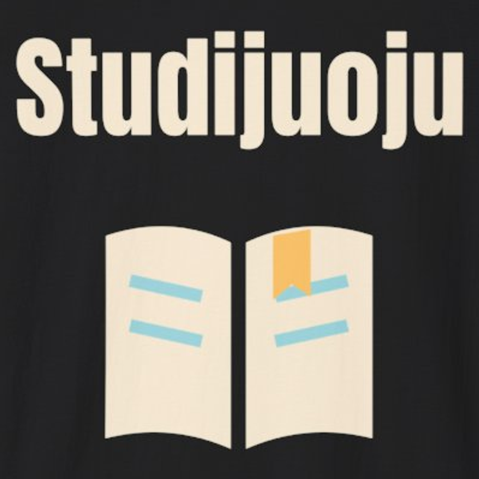 Studijuoju – marškinėliai, spaudos vaizdas