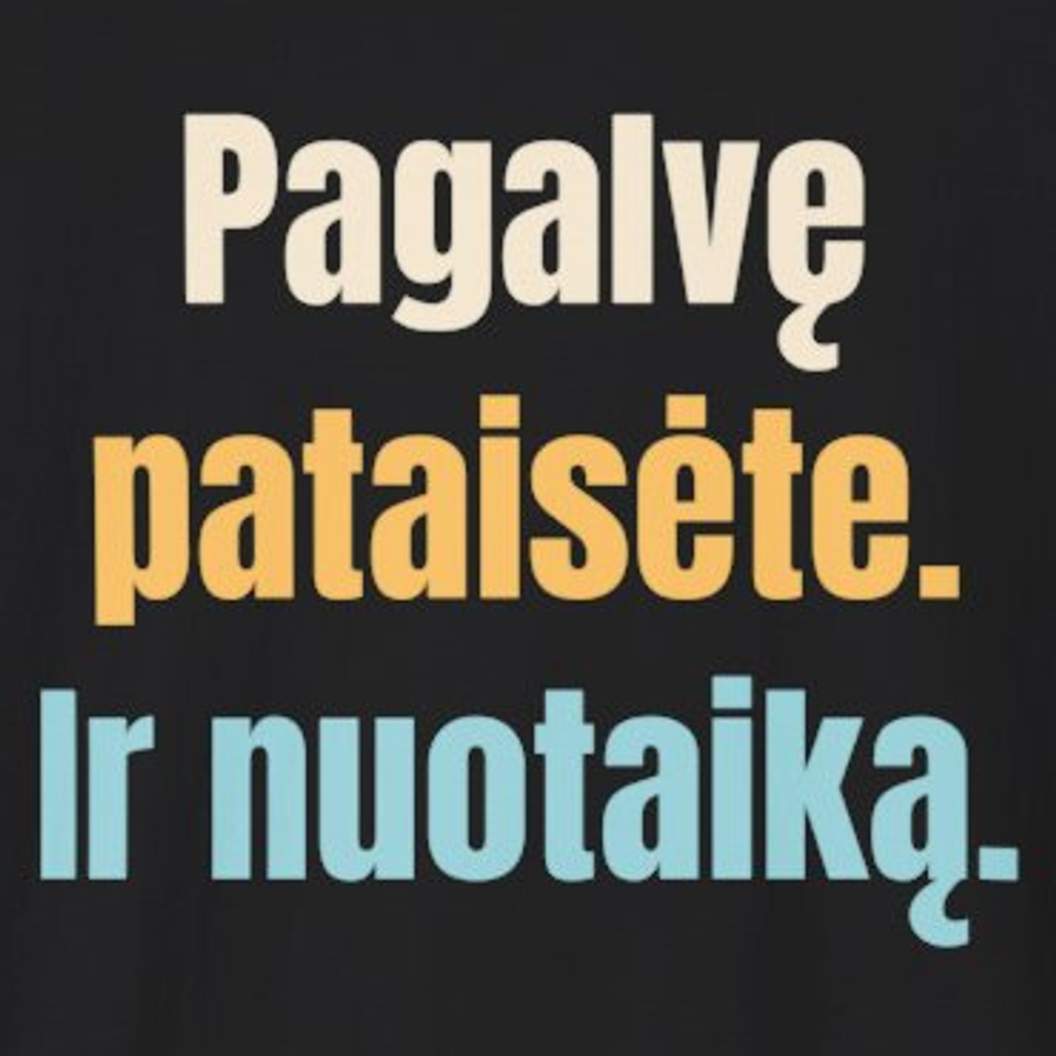 Pagalvę pataisėte. Ir nuotaiką. – marškinėliai, spaudos vaizdas