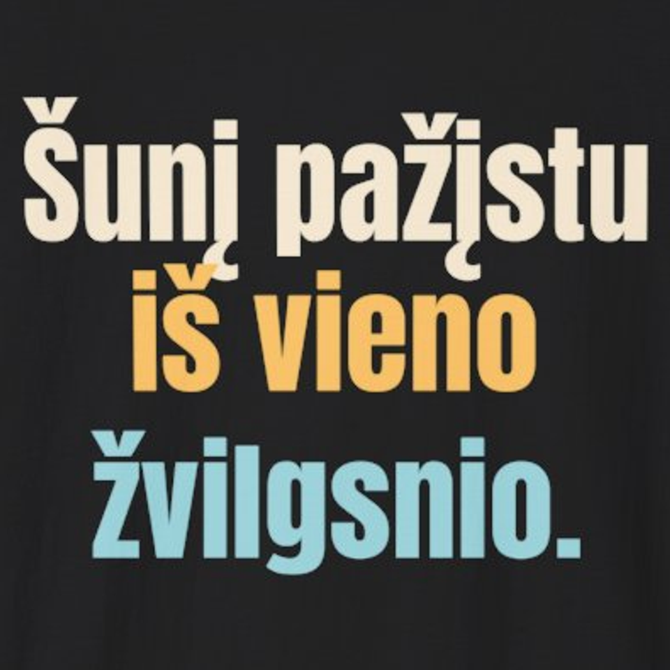 Šunį perprantu iš pirmo žvilgsnio. – Šunį pažįstu iš vieno žvilgsnio. – marškinėliai, spaudos vaizdas
