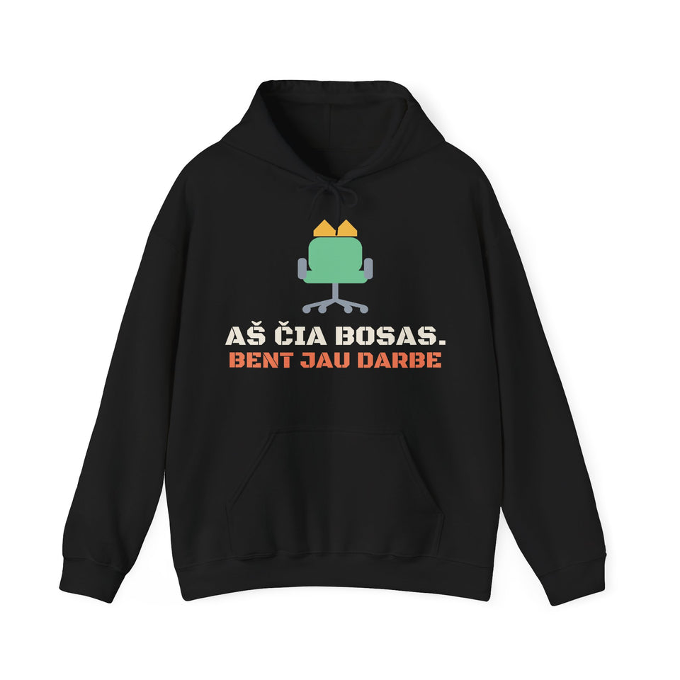 Aš čia bosas. Bent jau darbe