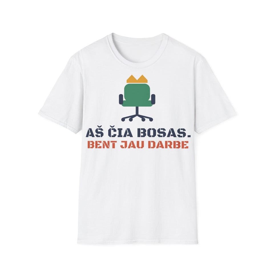 Aš čia bosas. Bent jau darbe