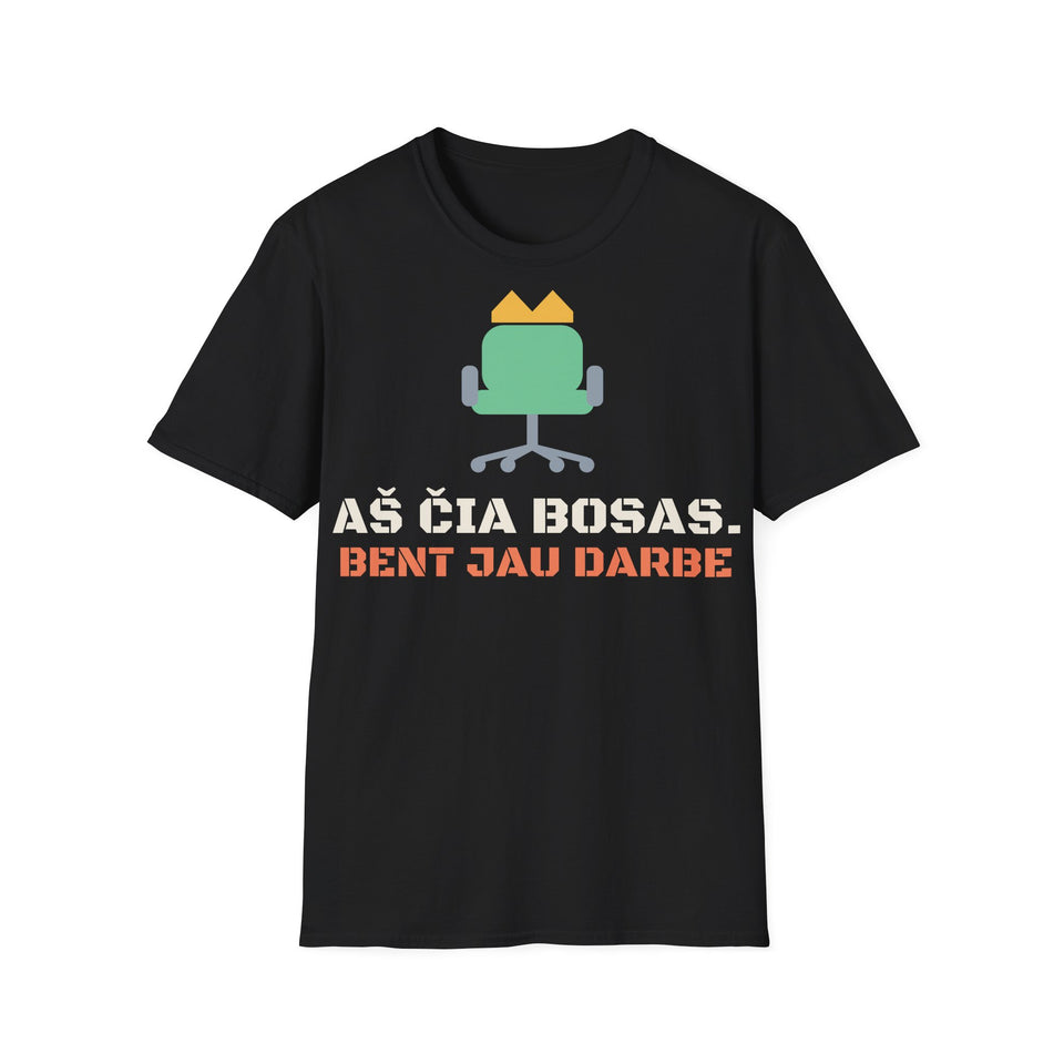 Aš čia bosas. Bent jau darbe