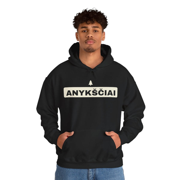 Anykščiai