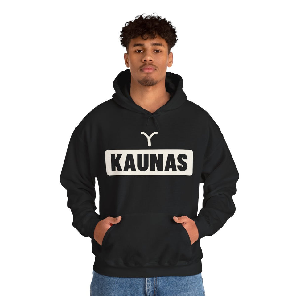 Kaunas – džemperis su gobtuvu, ant modelio