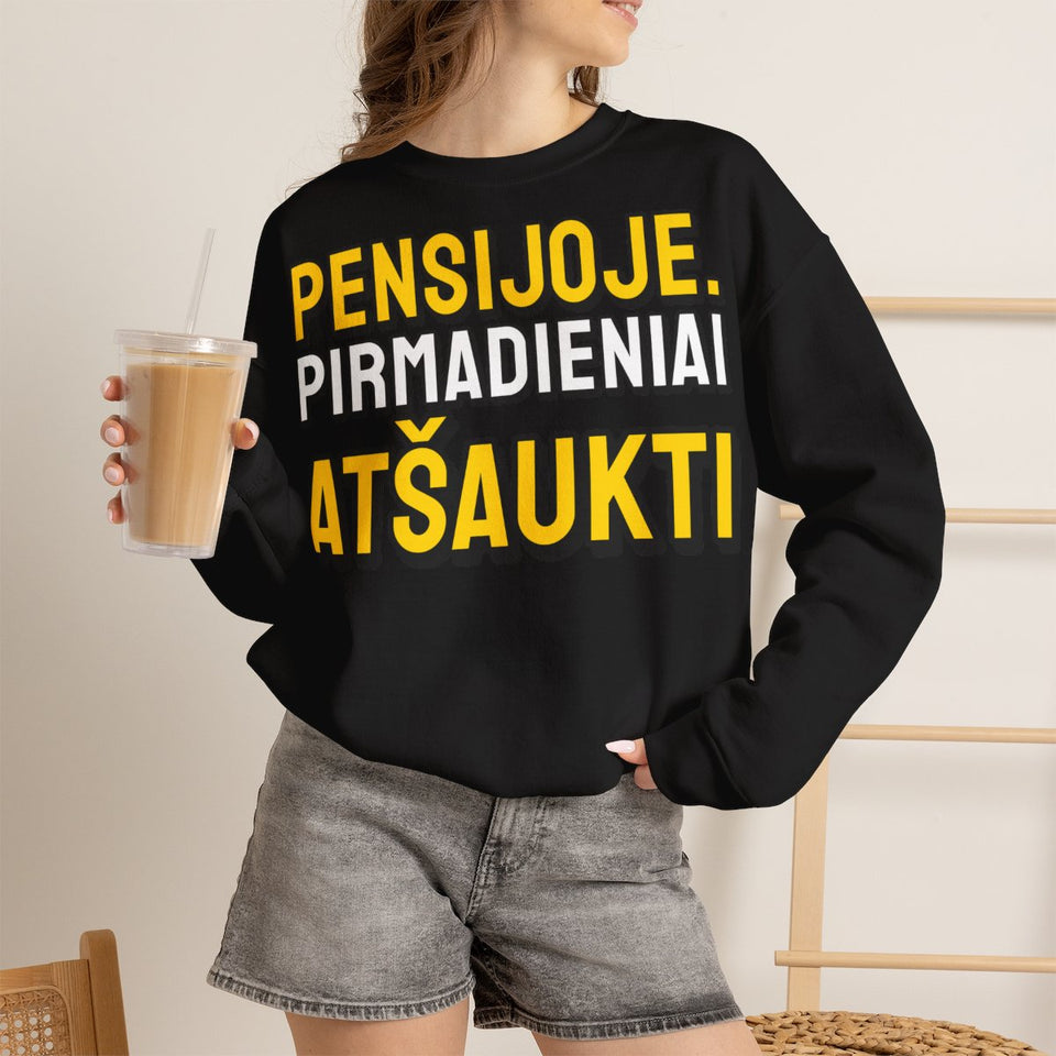 Pensijoje. Pirmadieniai atšaukti – džemperis ant modelio
