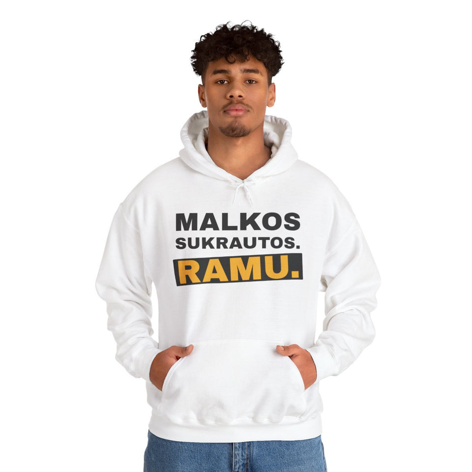Malkos sukrautos. Ramu. – Malkos sukrautos. Ramu – džemperis su gobtuvu ant modelio