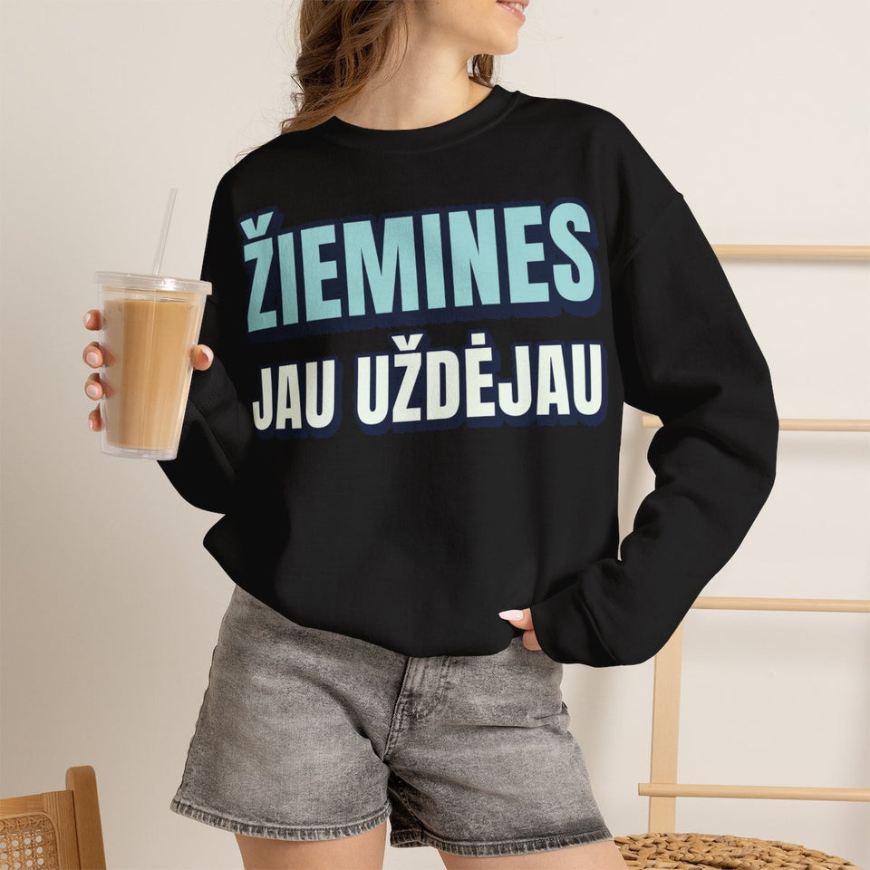Žiemines jau uždėjau – džemperis ant modelio