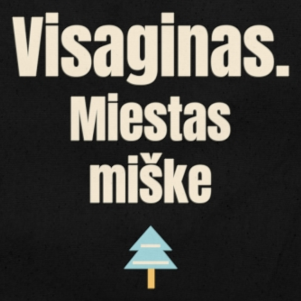 Visaginas. Miestas miške – krepšys, spaudos vaizdas