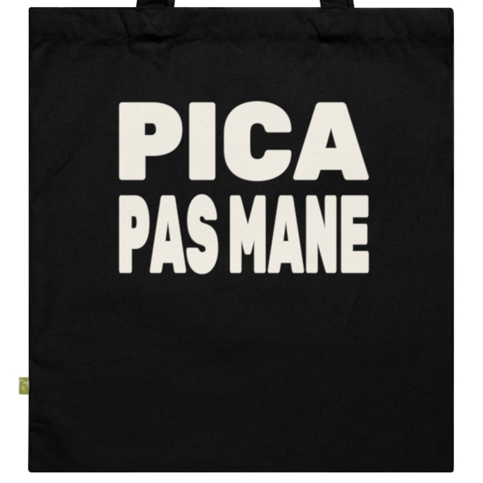 Picą nešu. Gabaliuko trūksta. – Pica pas mane — Krepšys, spaudos pusė.