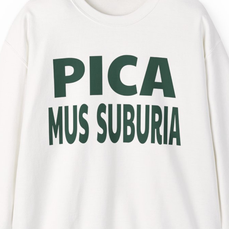 Pica mus suburia — Džemperis, spaudos pusė.